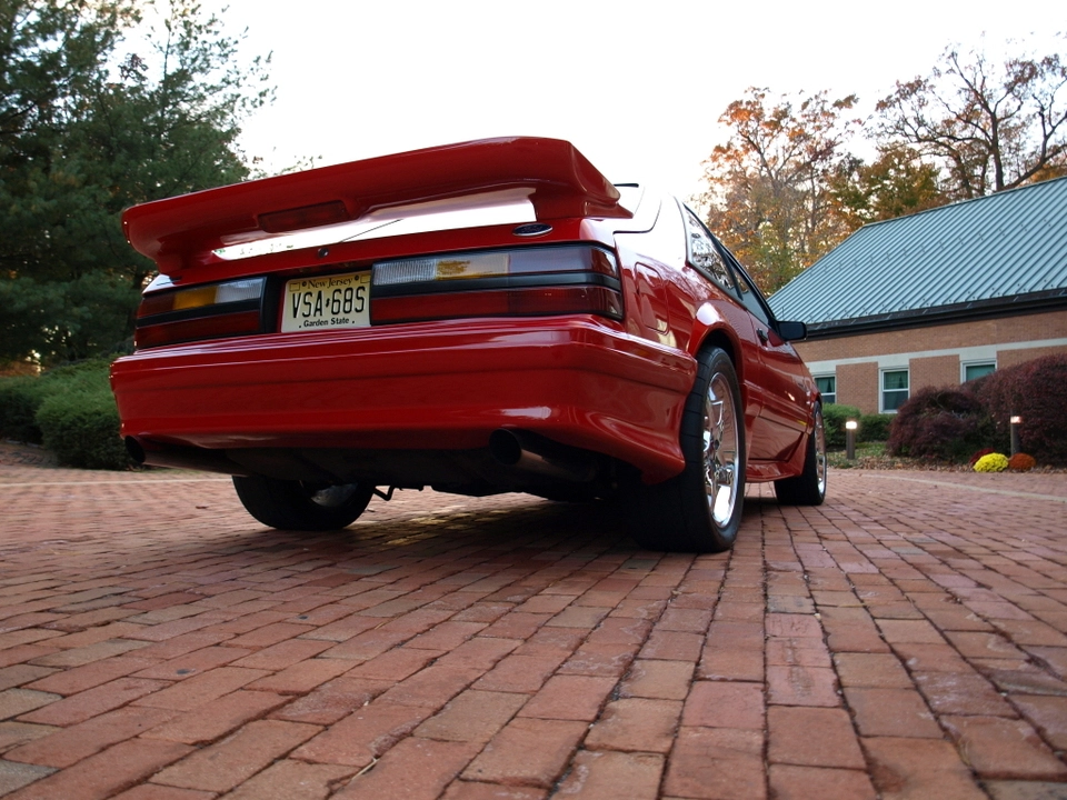 PA313045.webp