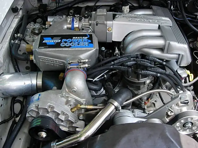 paigebdaymustang014.webp