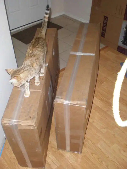 PB300001.webp