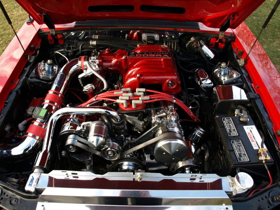 PC314571.webp