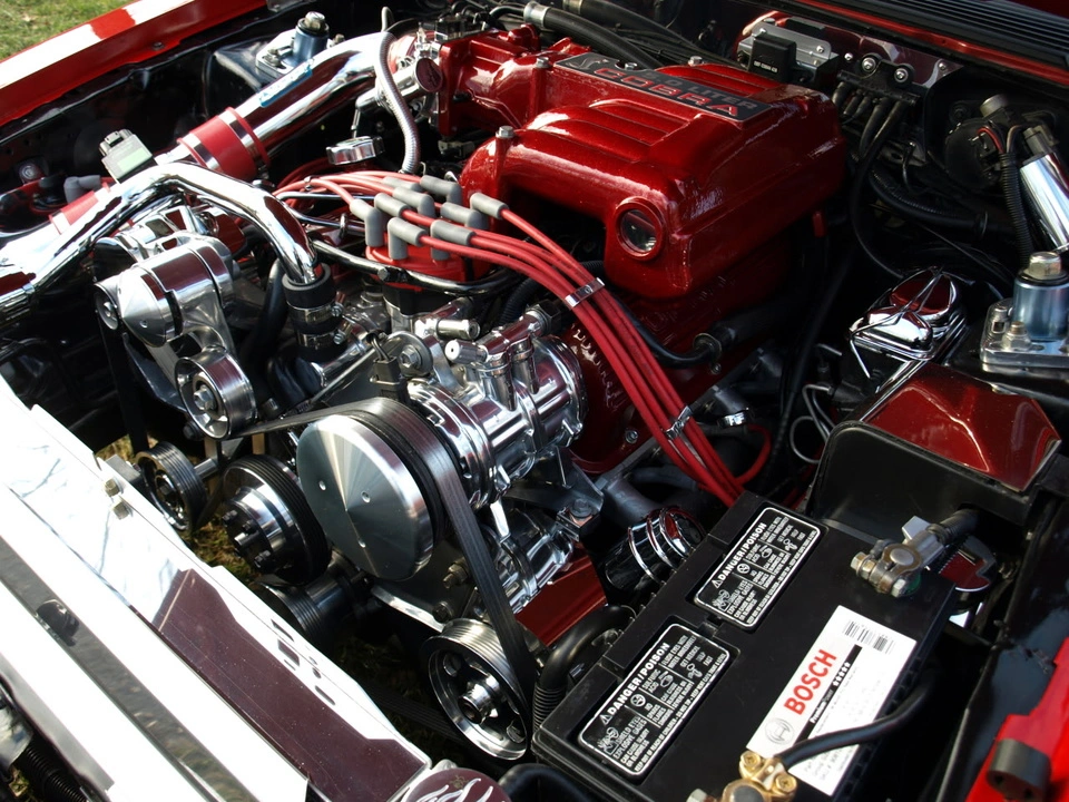 PC314572.webp