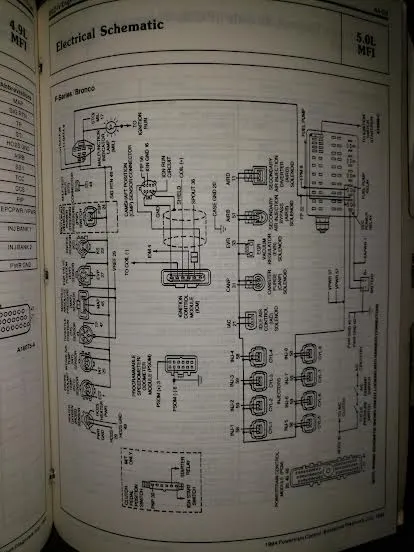 PCED page.webp
