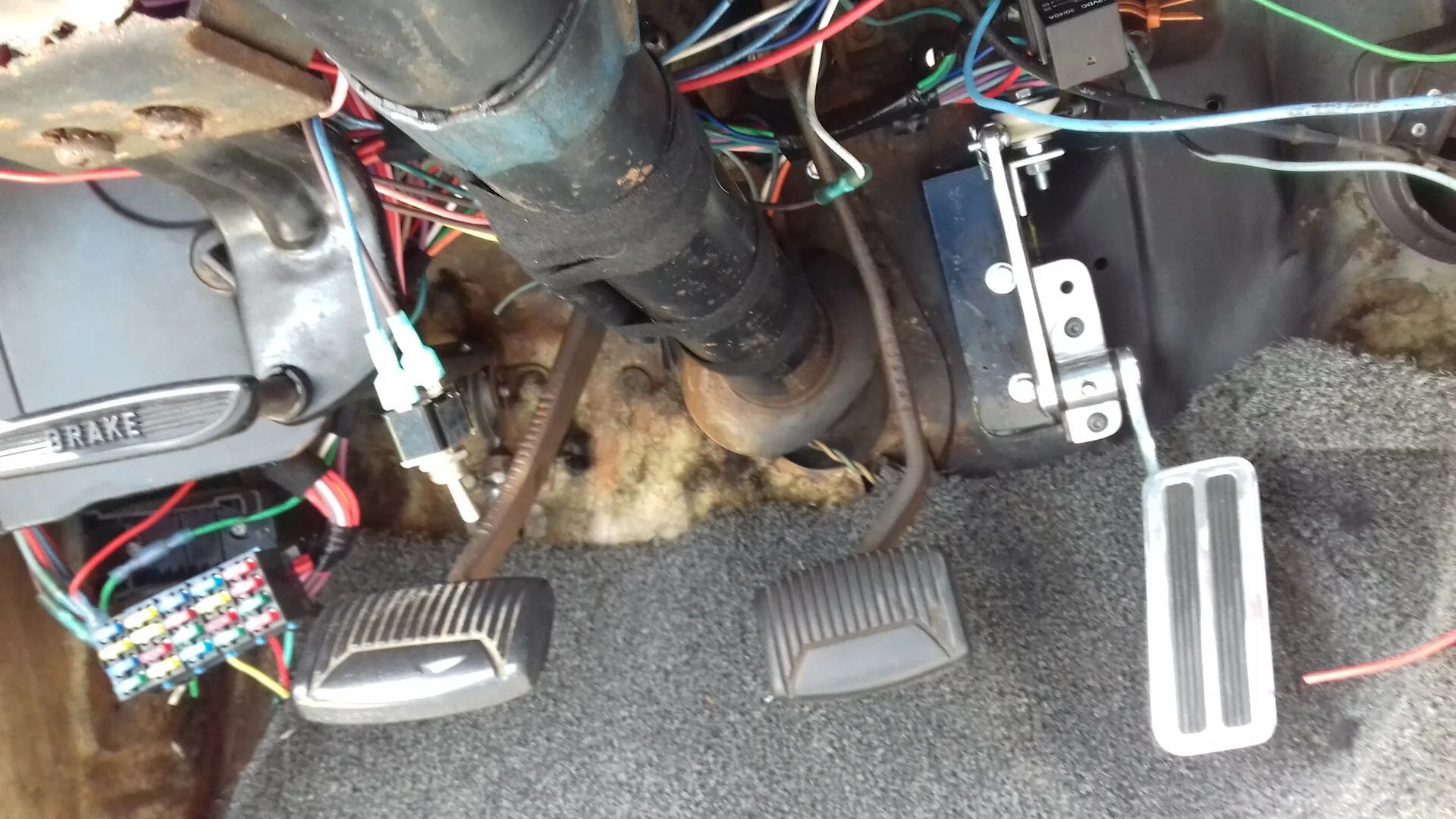 pedal.webp