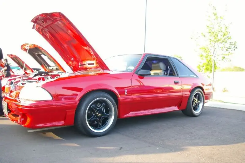 permamedia1.webp