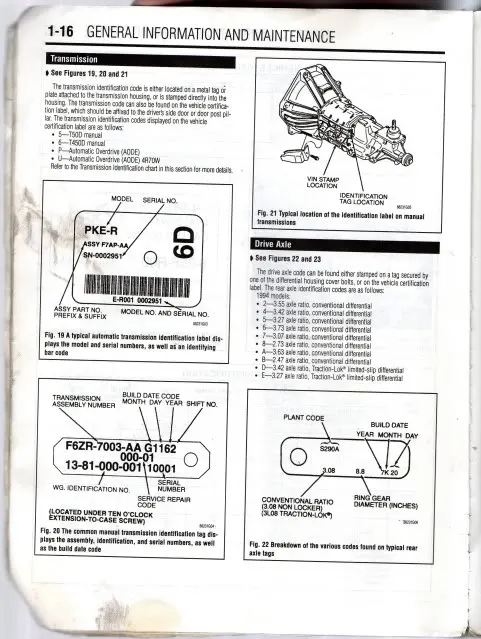 pg1.webp