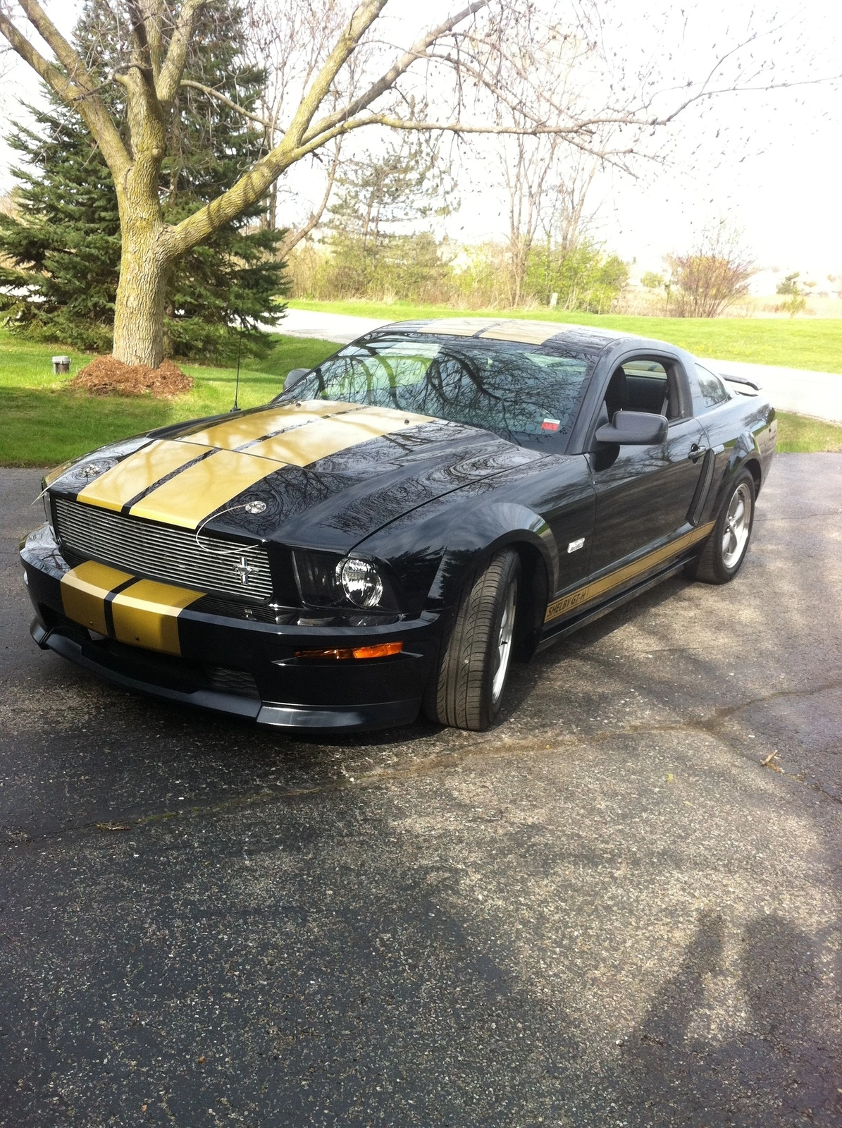 phone pics 10-2-11 023.webp