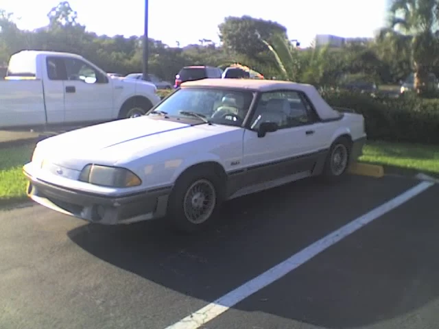 Phonepictures053.webp