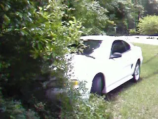 Photo-0248.webp
