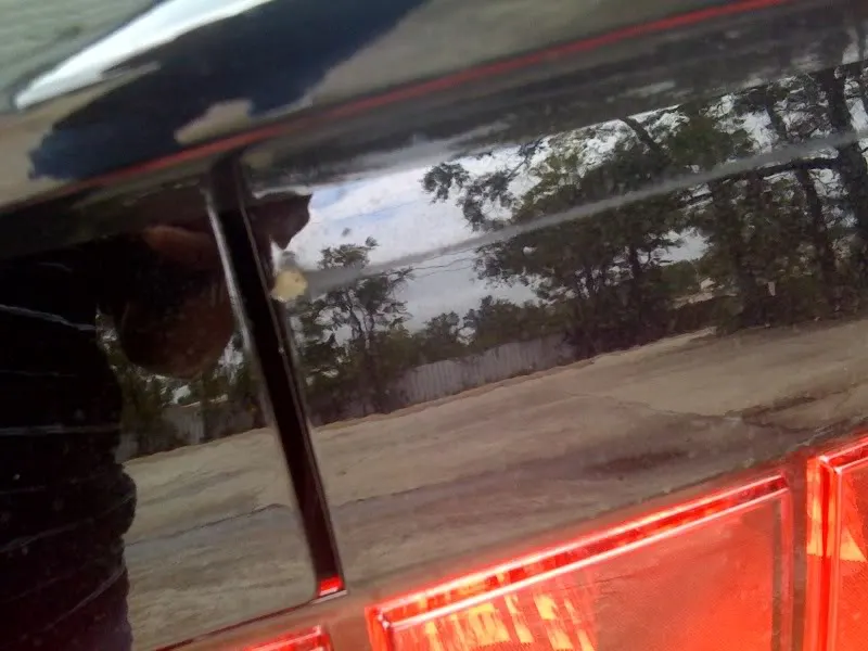 photo-1.webp