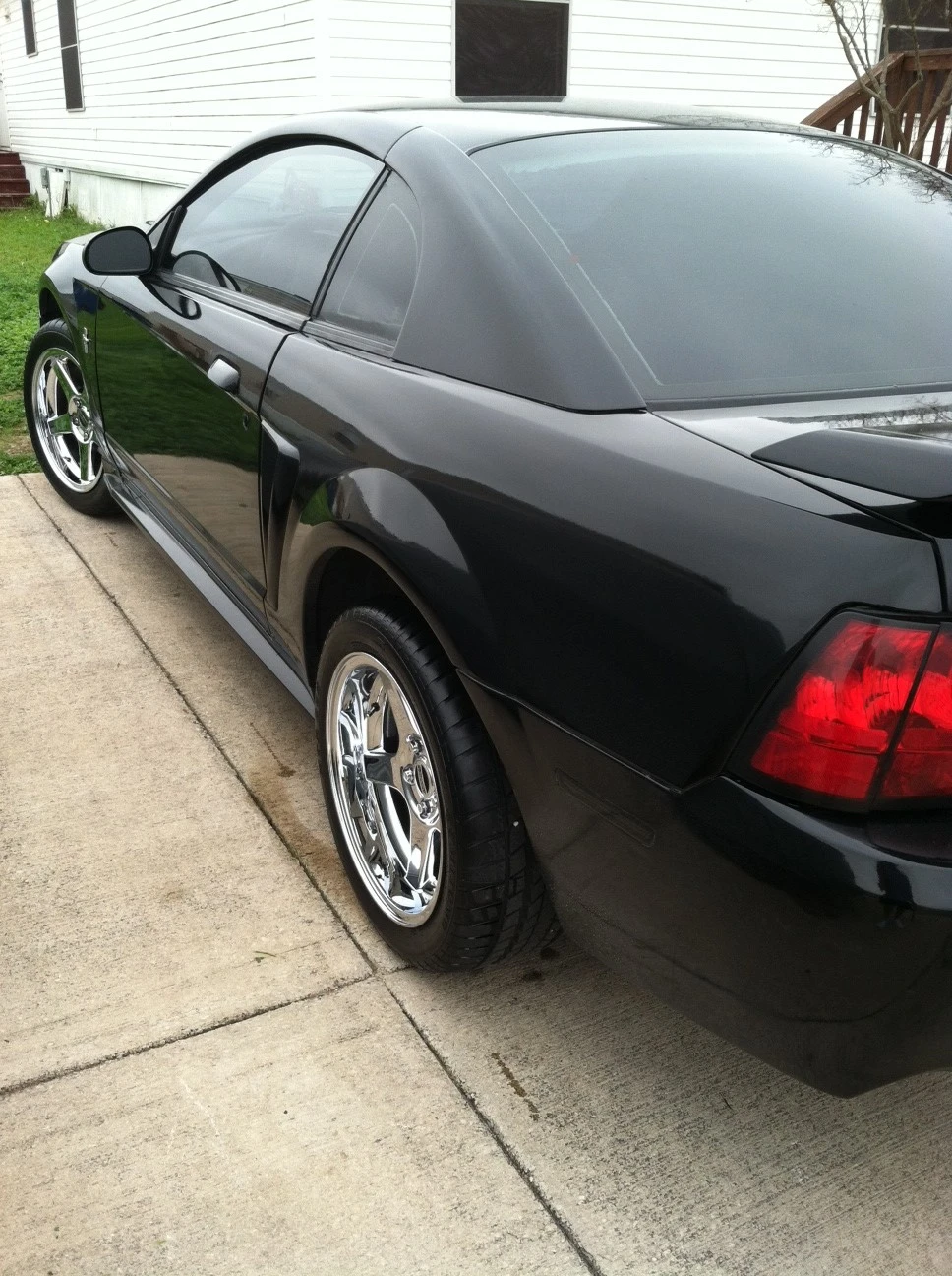 photo (1).webp