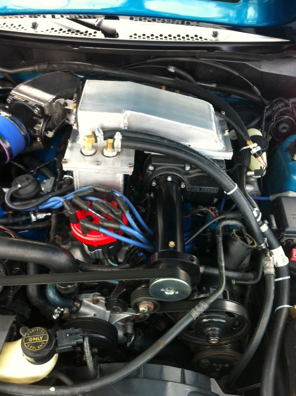 photo 1.webp