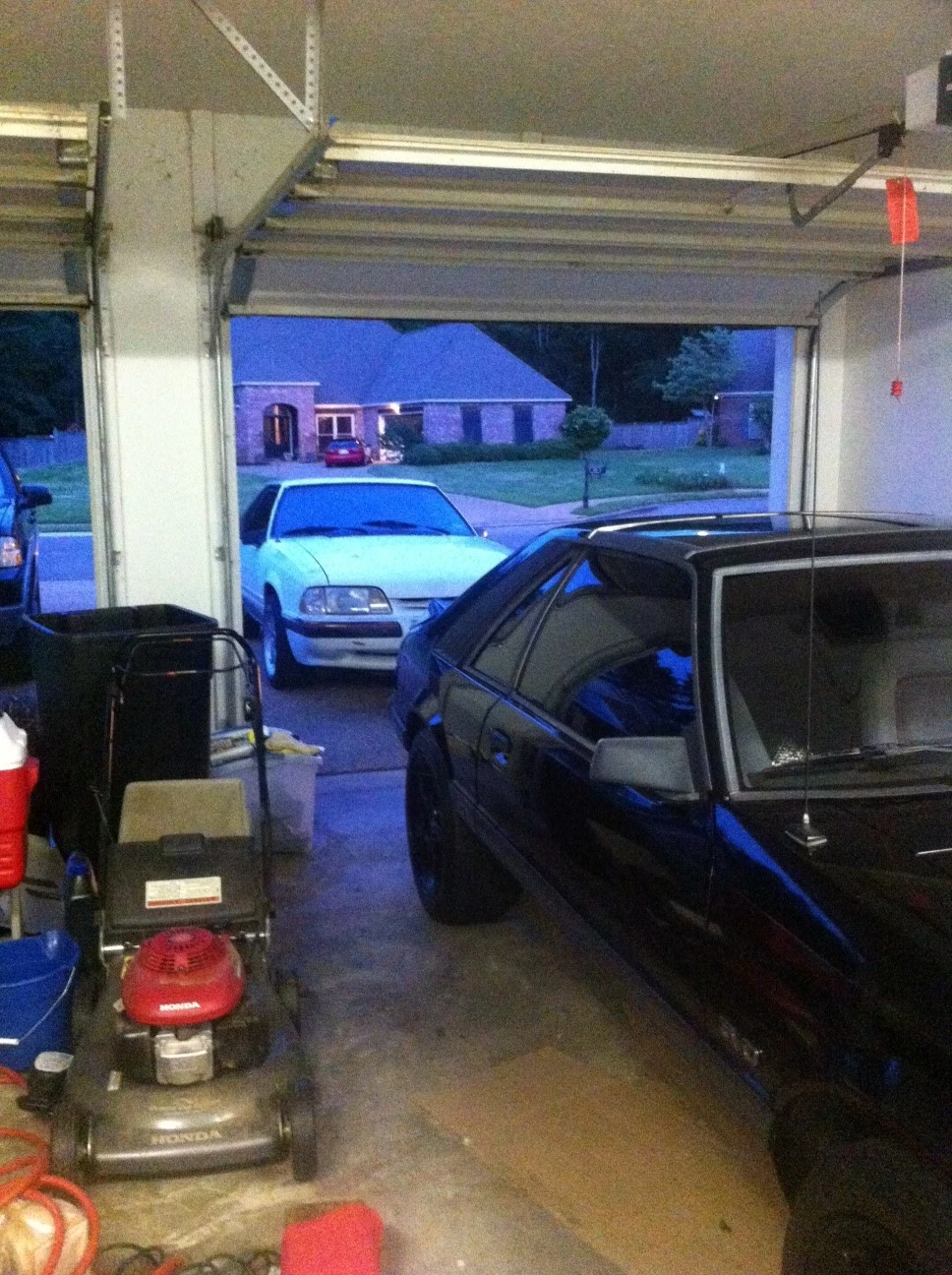photo(10).webp