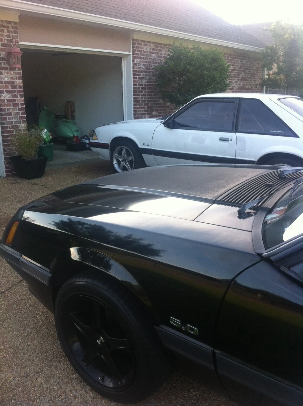 photo(19).webp
