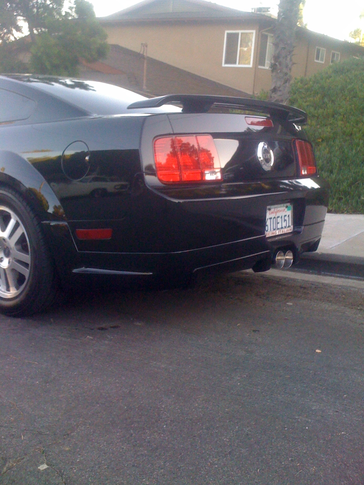 photo(3).webp