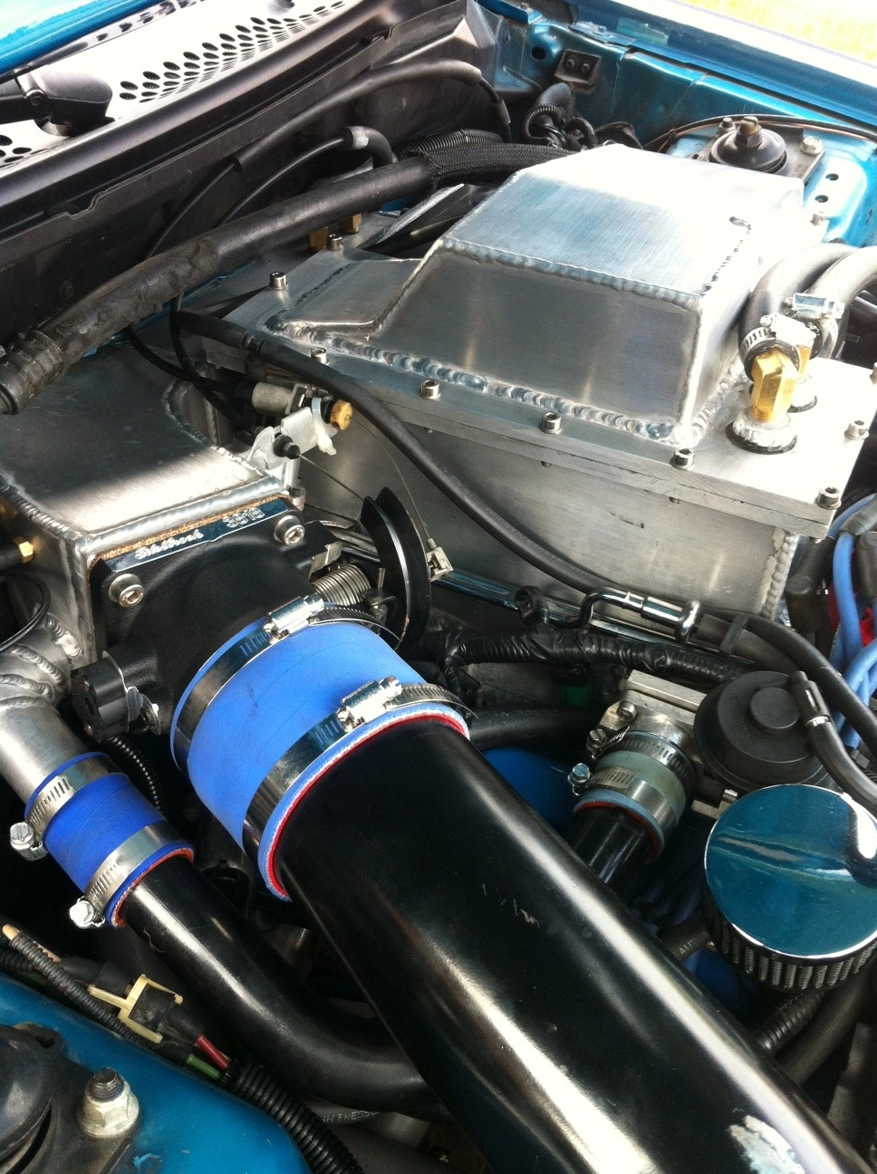 photo 3.webp