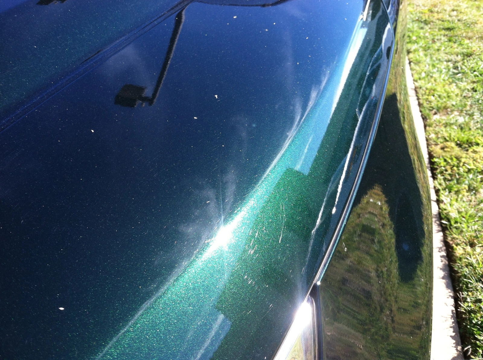photo 5.webp