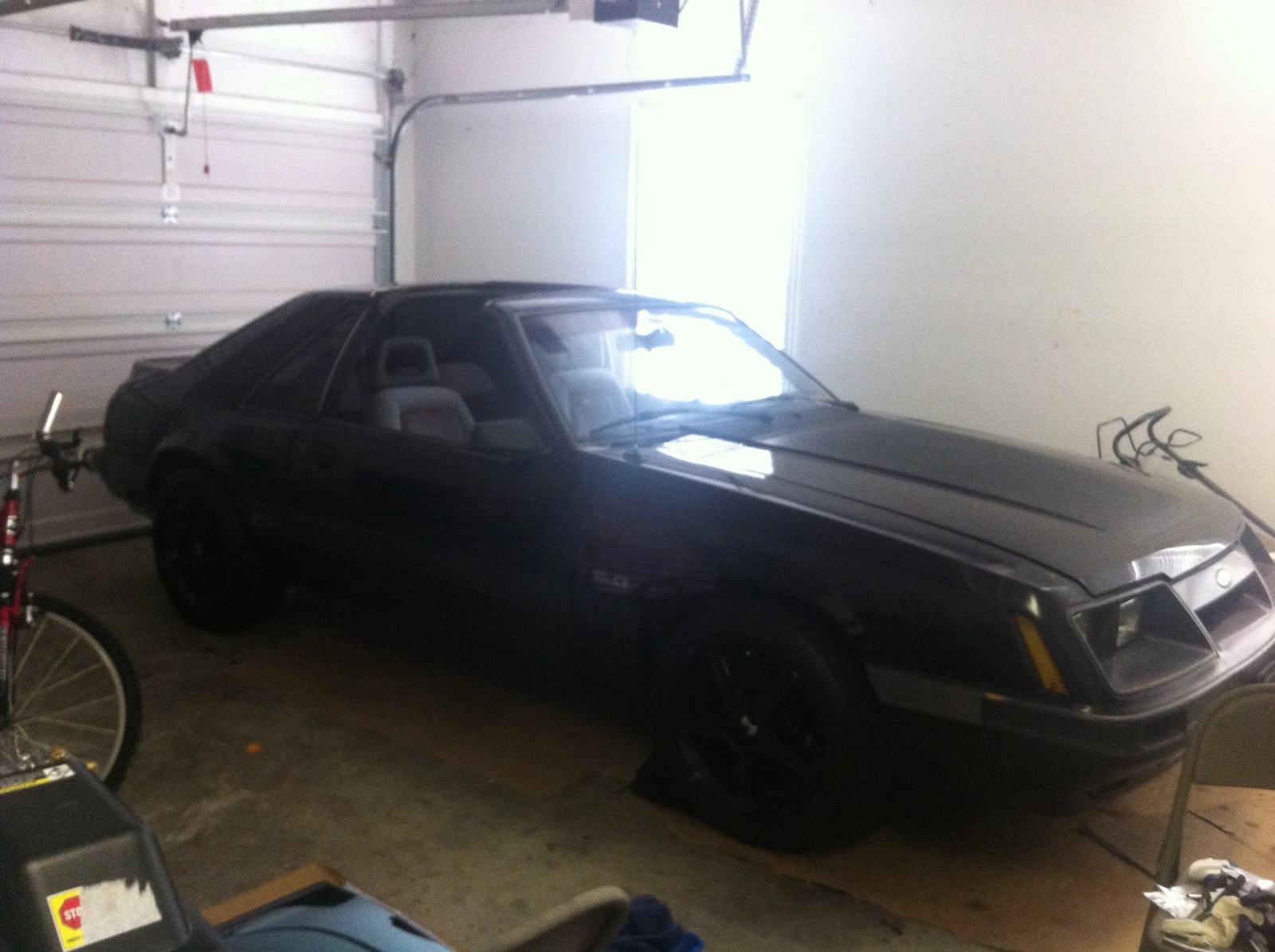photo(5).webp
