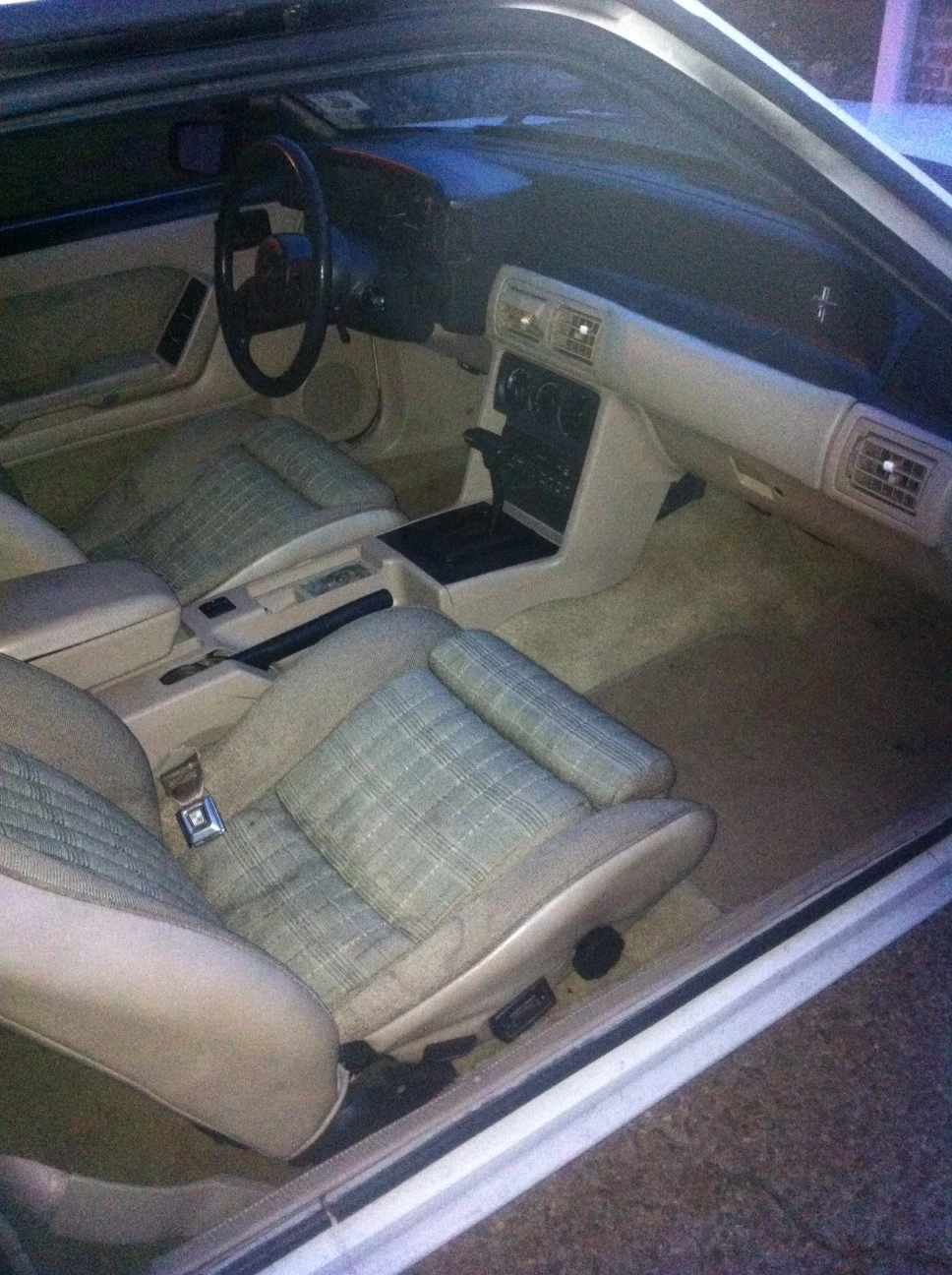 photo(5).webp