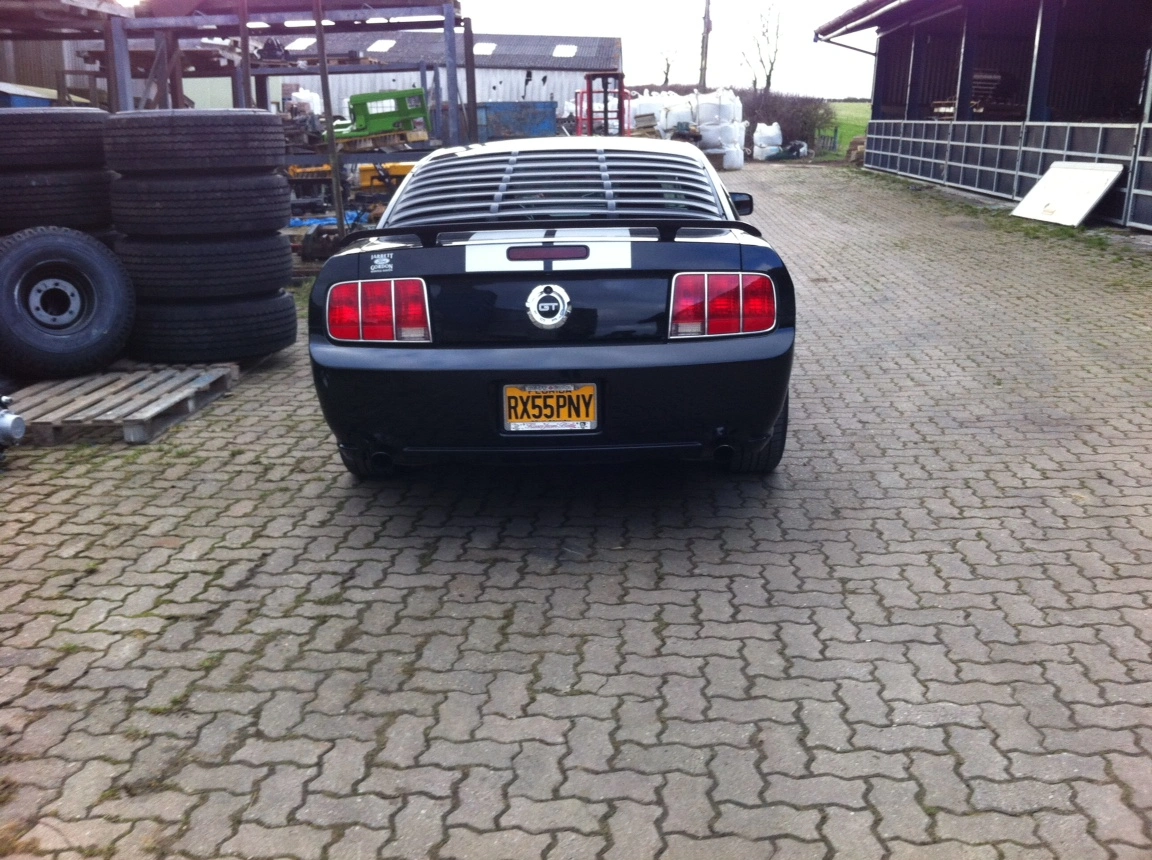 photo copy 8.webp
