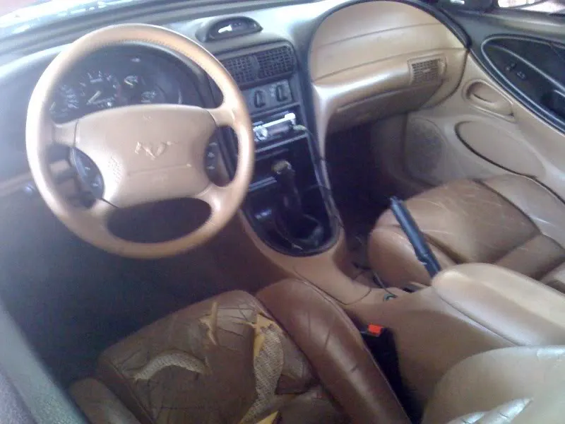 photo.webp