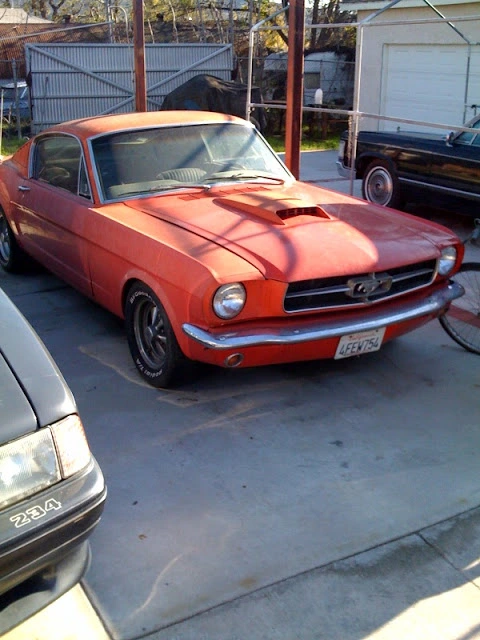 photo.webp
