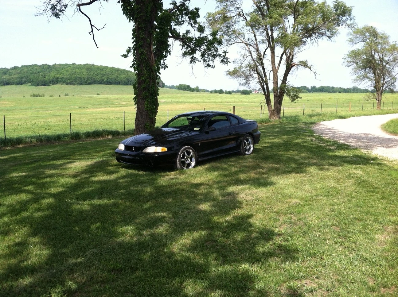 photo.webp