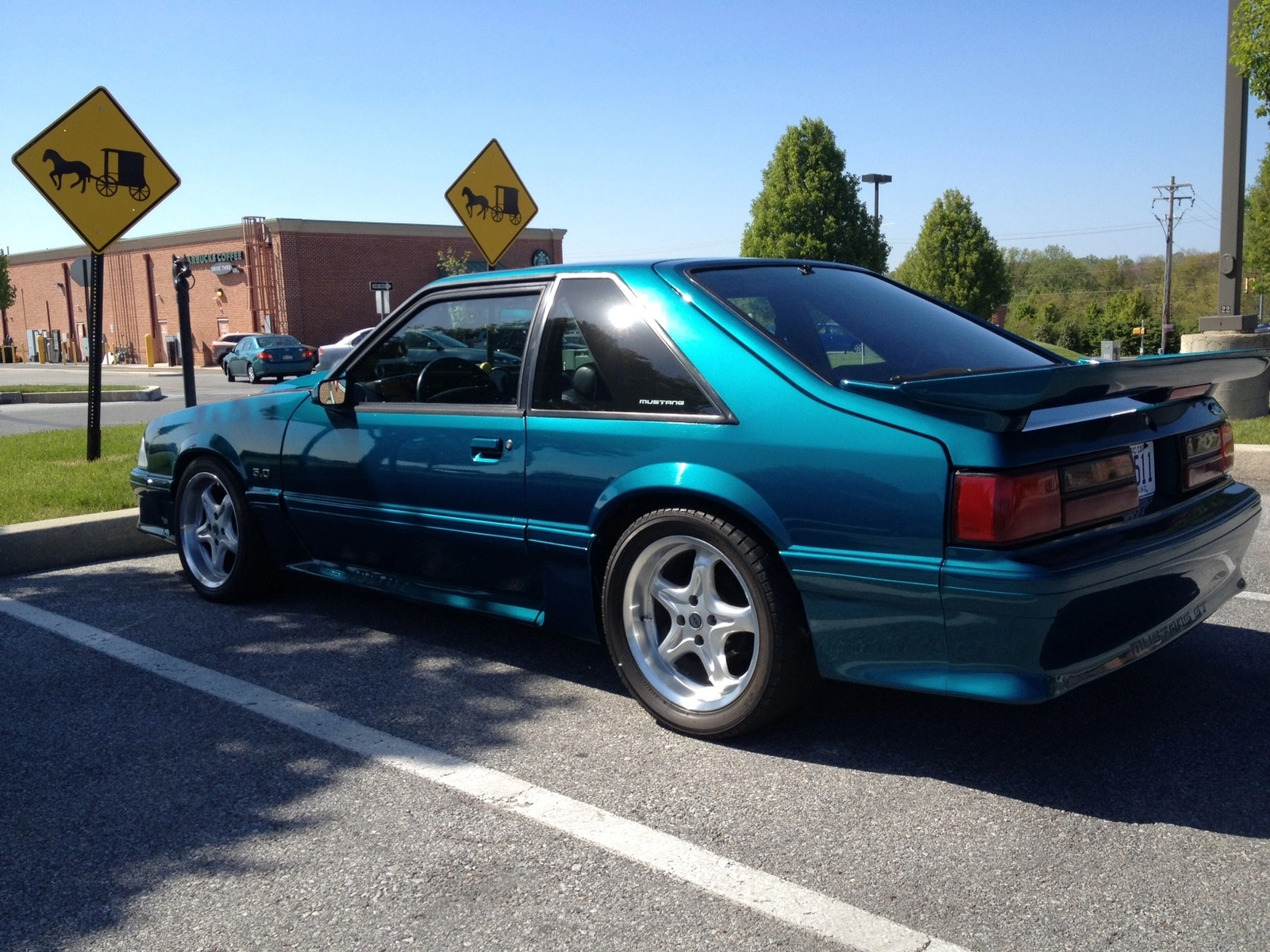photo.webp