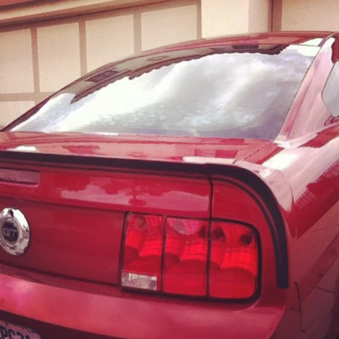 photo.webp