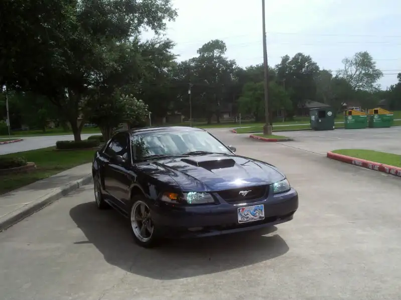 Photo0015.webp