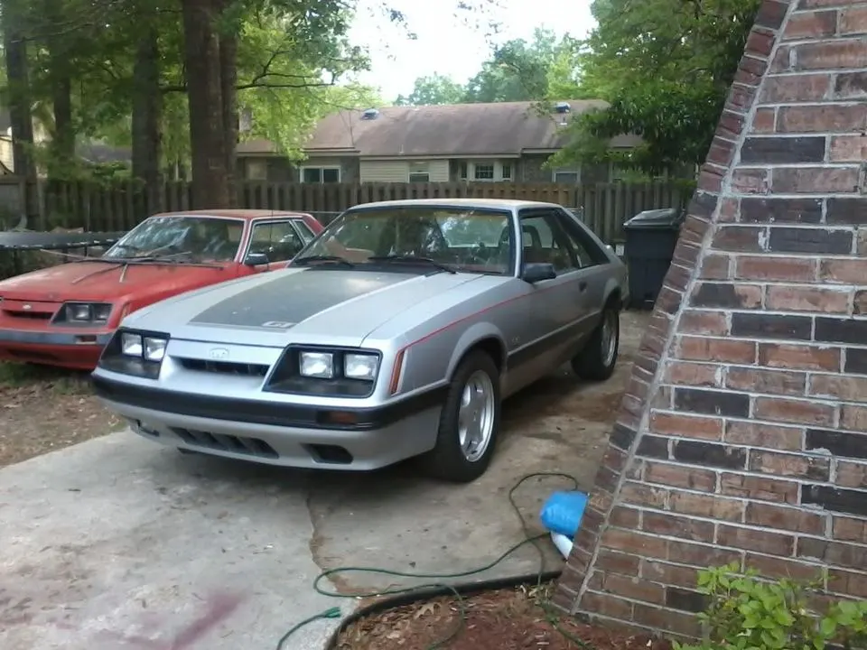Photo0020.webp