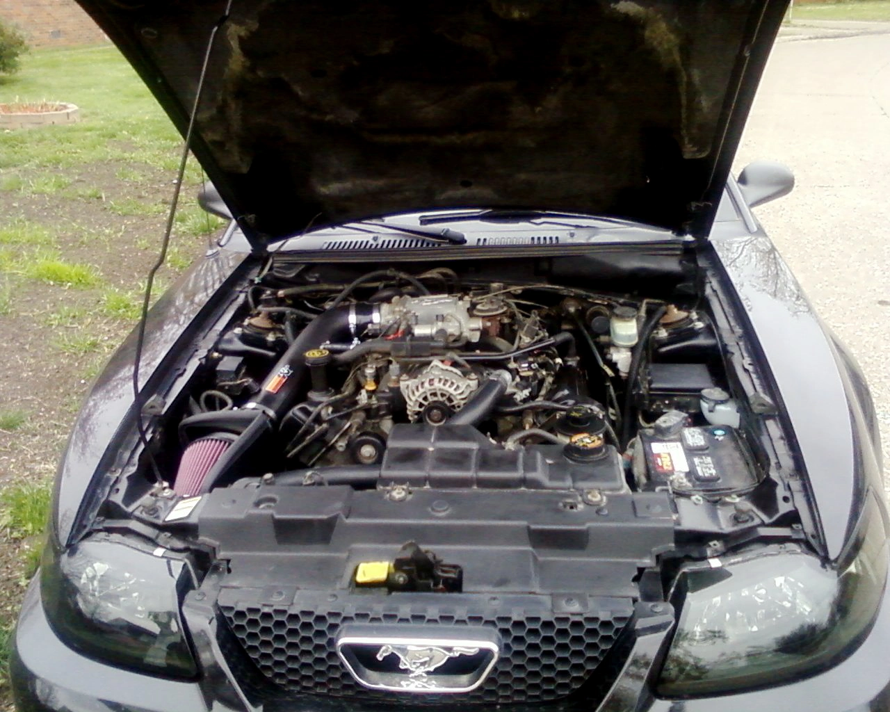 Photo0024.webp