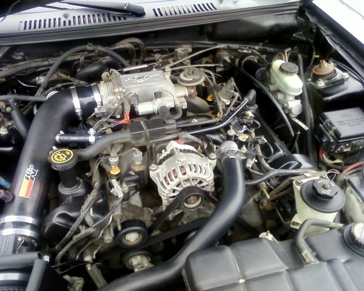 Photo0029.webp