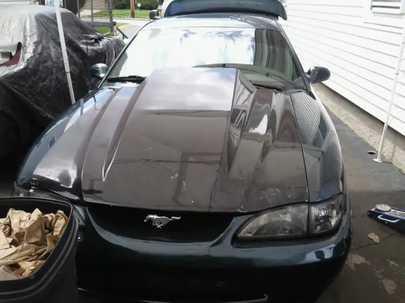 Photo0042.webp