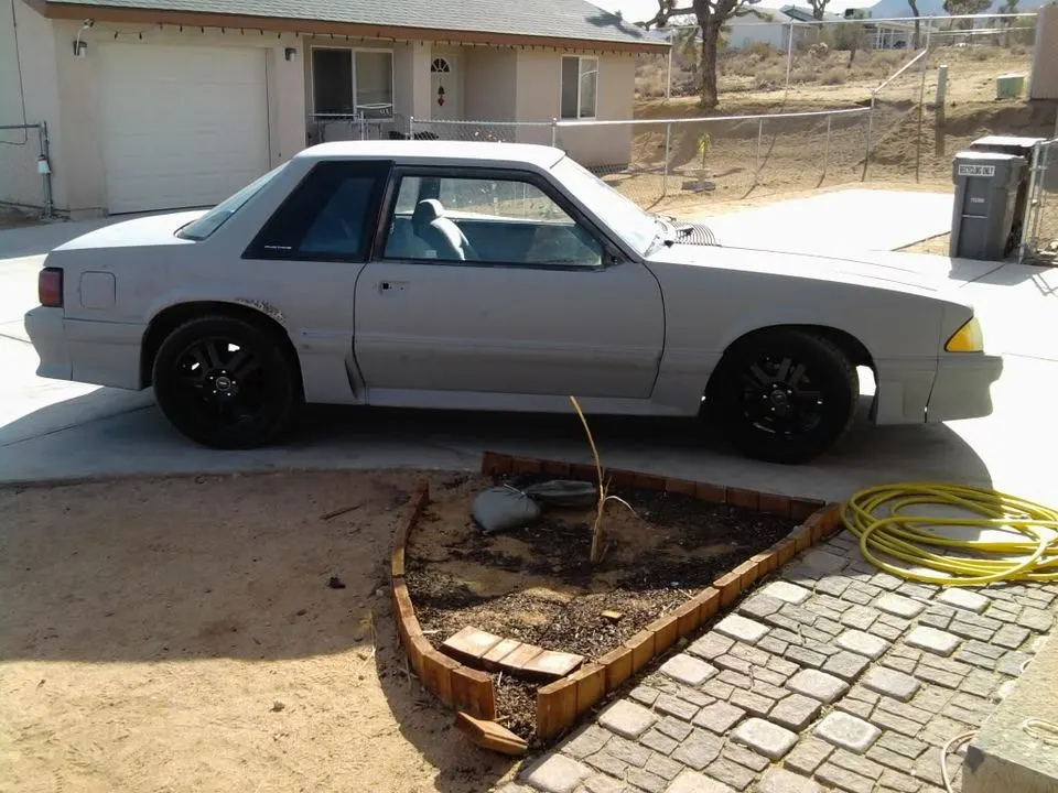 Photo0059.webp
