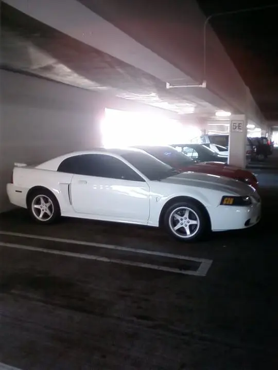 Photo0074.webp