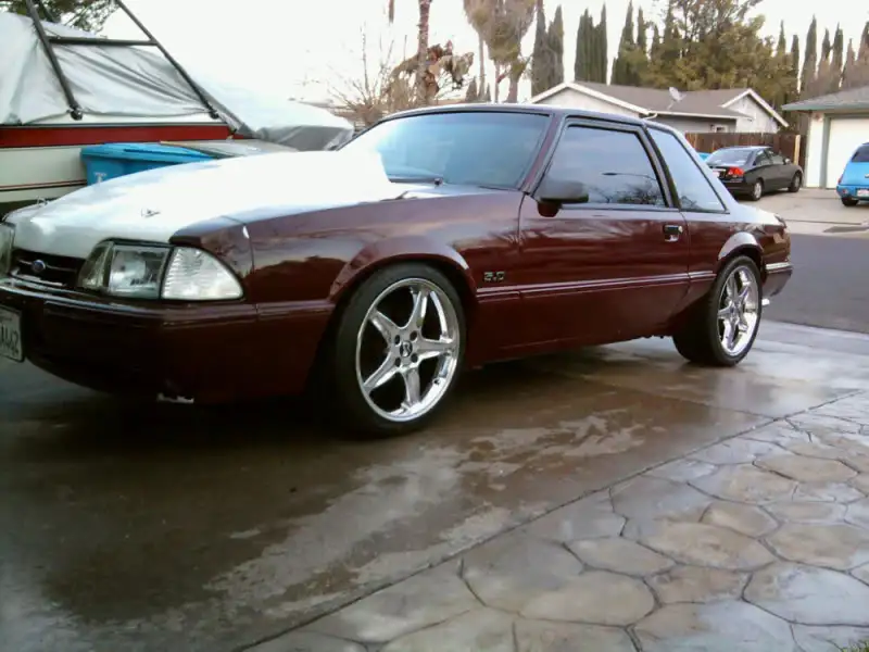 Photo0100.webp