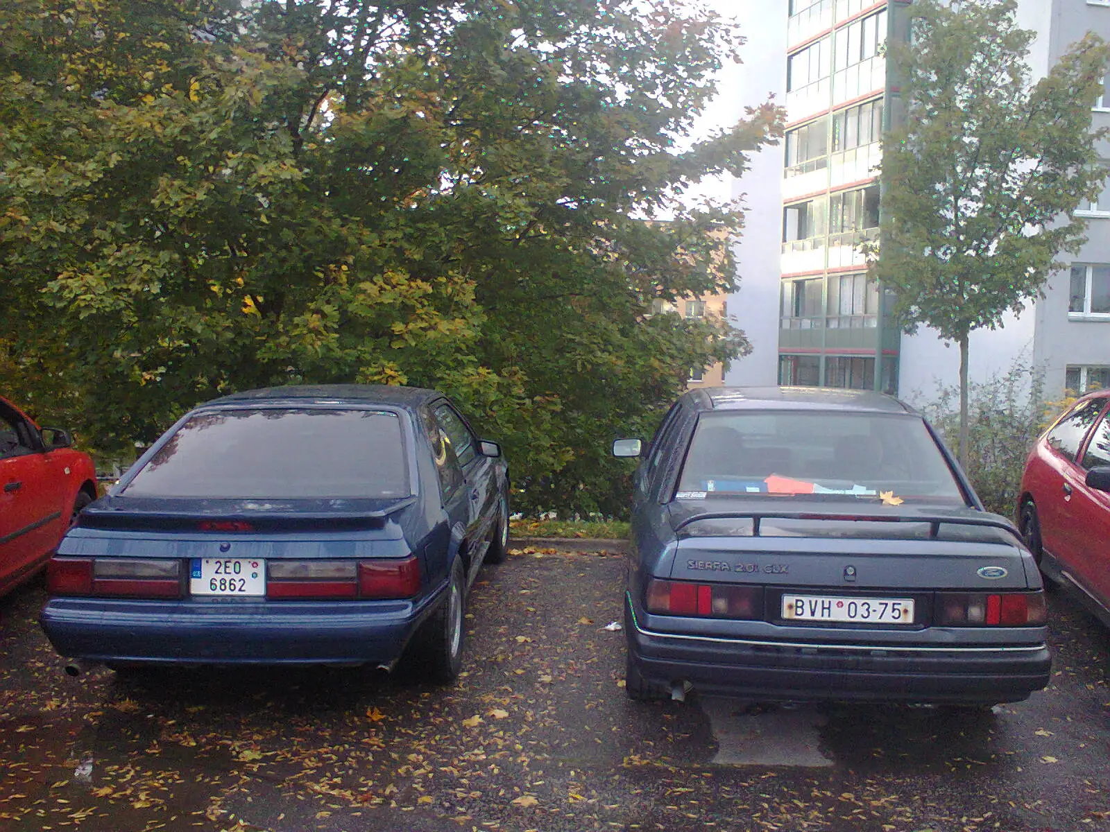 Photo0374.webp