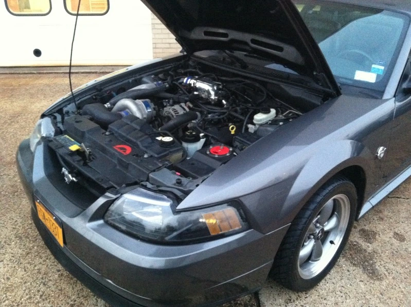 photo11-Copy.webp