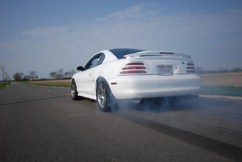 photo4_zps12fb6fd6.webp