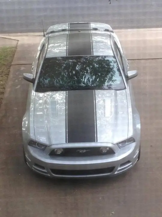 photo5_zpsce6ea229.webp