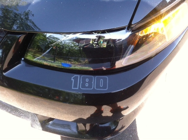 photo_3[2].webp