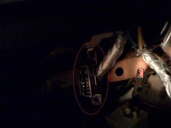 photo_3_1.webp