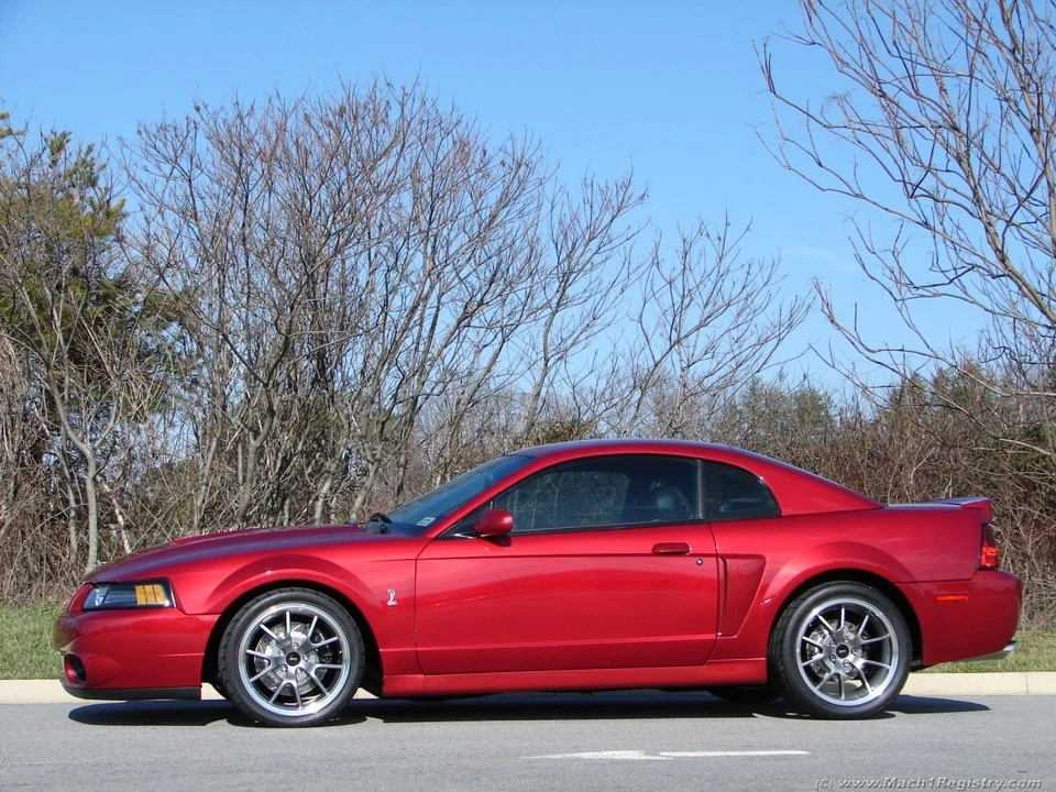 photo_shoot_009.webp