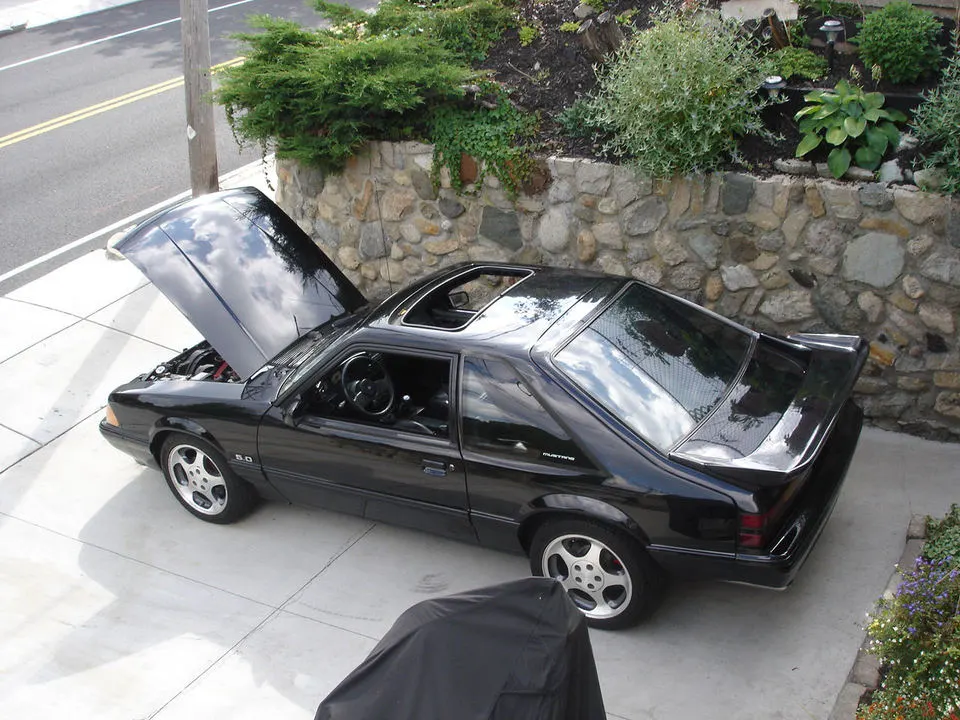 pic.webp