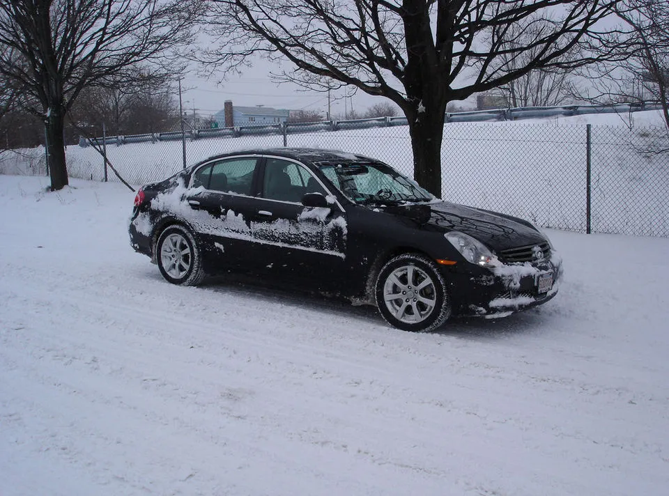 pic.webp