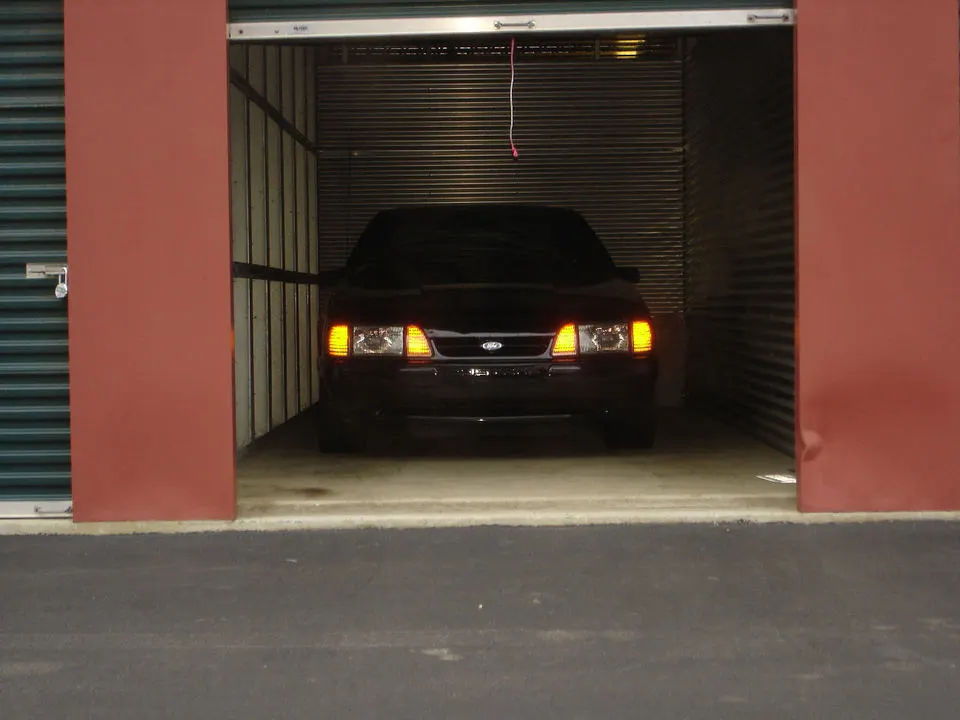 pic.webp