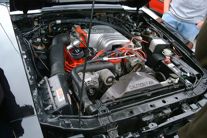 pic.webp