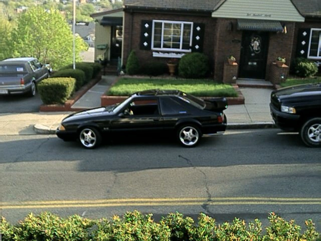 pic.webp