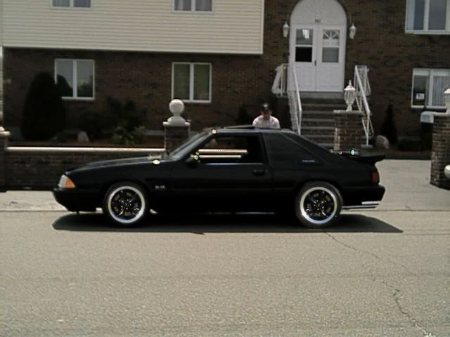 pic.webp