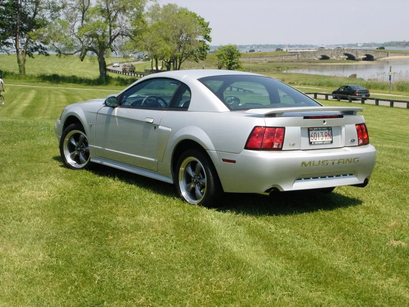 pic.webp